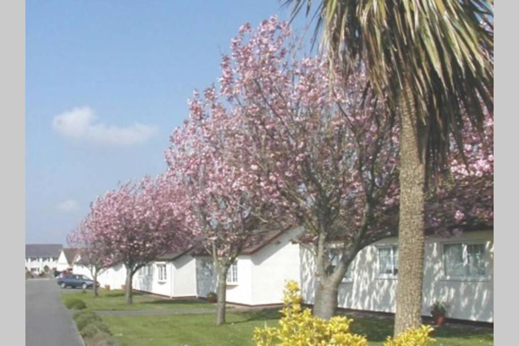 Perfect For The Family And Beaches - Gower Cwtch Villa Swansea Luaran gambar